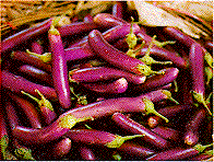 Picture of Brinjal