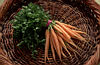 Picture of Carrots