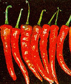 Picture of Chilli