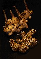 Picture of Ginger