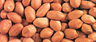 Picture of Groud Nuts