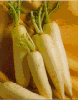 Picture of Radish