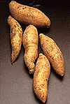 Picture of Sweet Potato