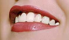 lipcare.jpg (8102 bytes)